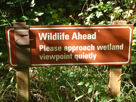 Sign at Wetland Observation Deck - “ Wildlife Ahead, Please approach wetland viewpoint quietly”